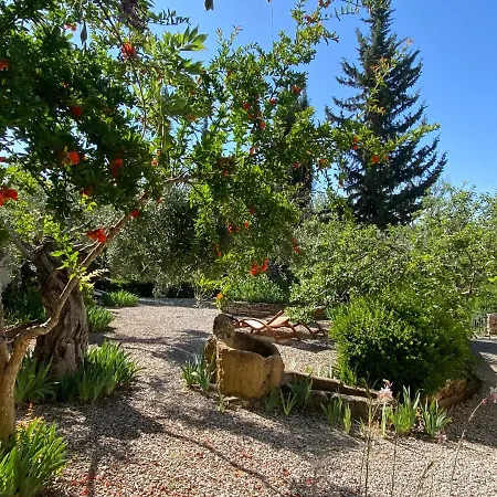 Villa Beautiful Near Ronda Arriate