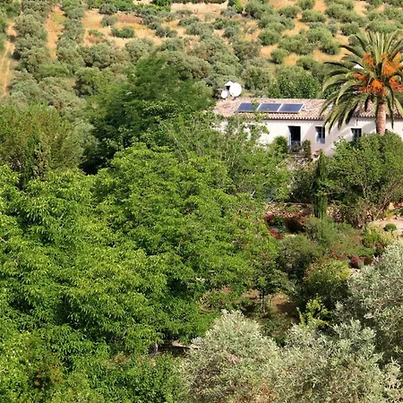 Beautiful Near Ronda Villa Arriate